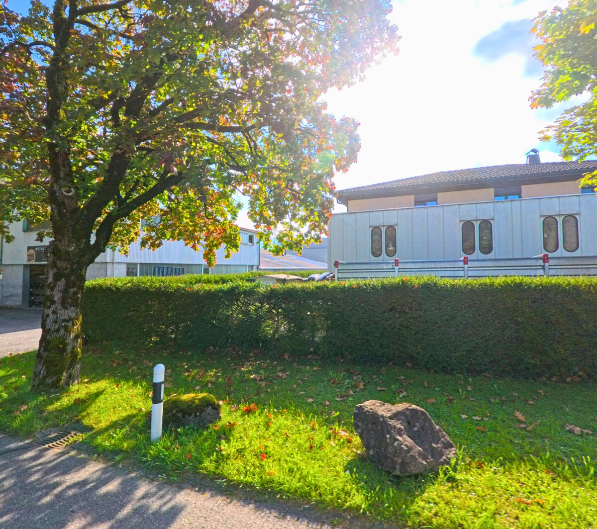Eine gepflegte Gruenflaeche mit Baum und Sonnenlicht grenzt an Wohnbauten in Uznach (8730, Kanton St. Gallen).