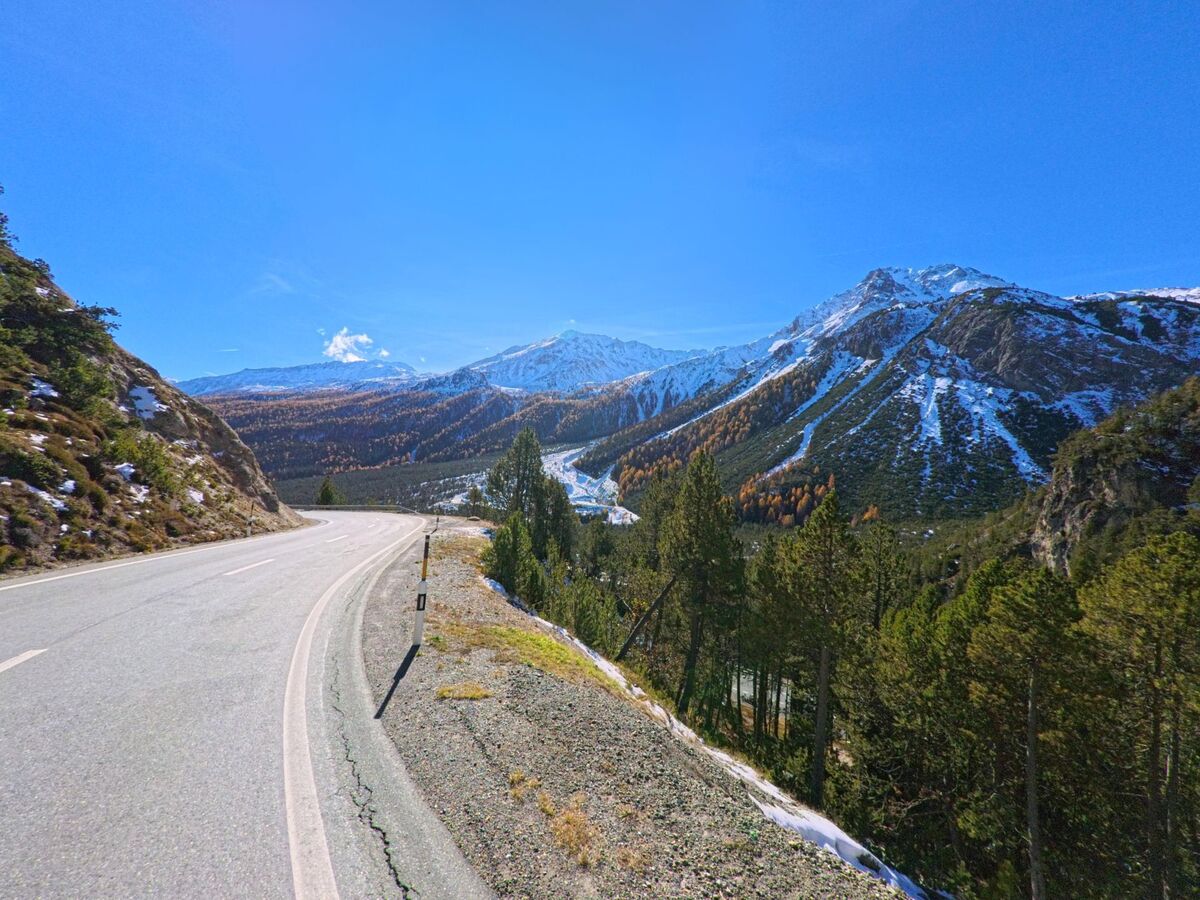 Eine kurvige Bergstrasse führt durch das alpine Hochtal von Val Müstair (7532, Kanton Graubünden) und eröffnet den Blick auf bewaldete Hänge und schneebedeckte Gipfel unter klarem Himmel.