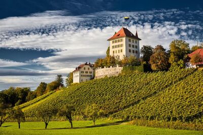 Das Schloss Heidegg in Gelfingen (6284, Kanton Luzern) steht über einem sonnigen Rebhang und ist von grüner Landschaft umgeben.