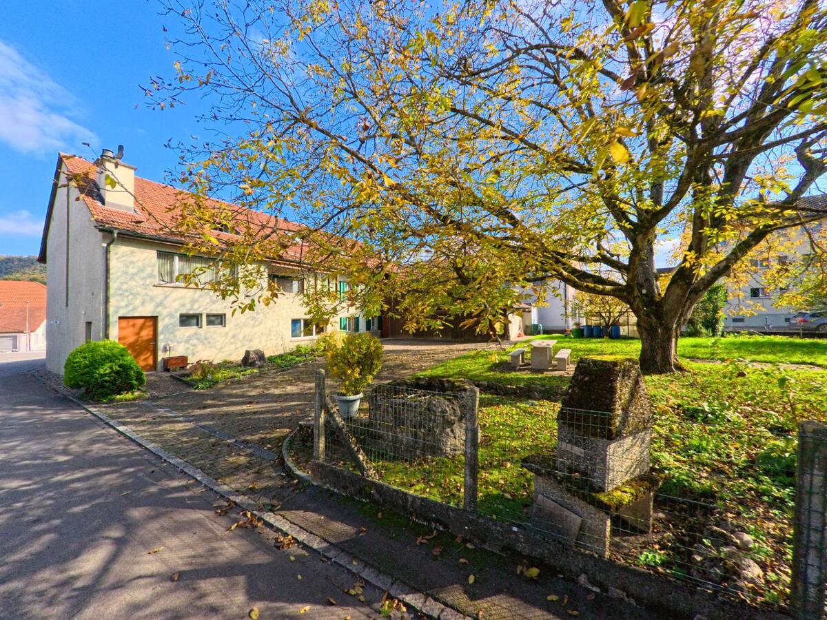 In Villigen (5233, Kanton Aargau) steht unter herbstlichem Laub ein grosser Baum neben einem Wohnhaus, dessen Vorplatz von einer kleinen Mauer und einem Brunnen eingefasst wird.