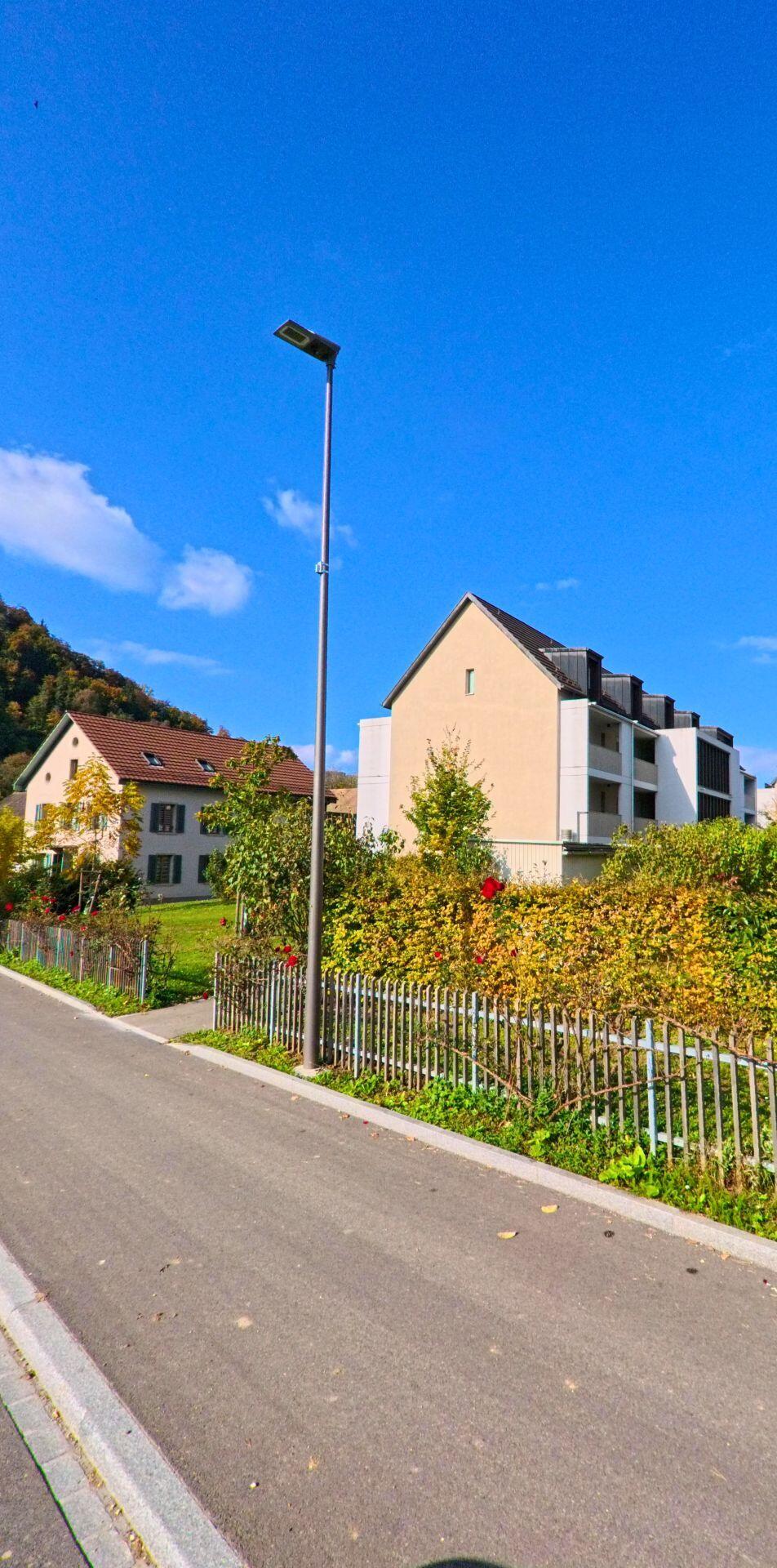 Entlang einer ruhigen Strasse in Villigen (5234, Kanton Aargau) stehen moderne und traditionelle Wohnhaeuser hinter einer dichten Hecke, waehrend ein Strassenlampe in den blauen Himmel ragt.