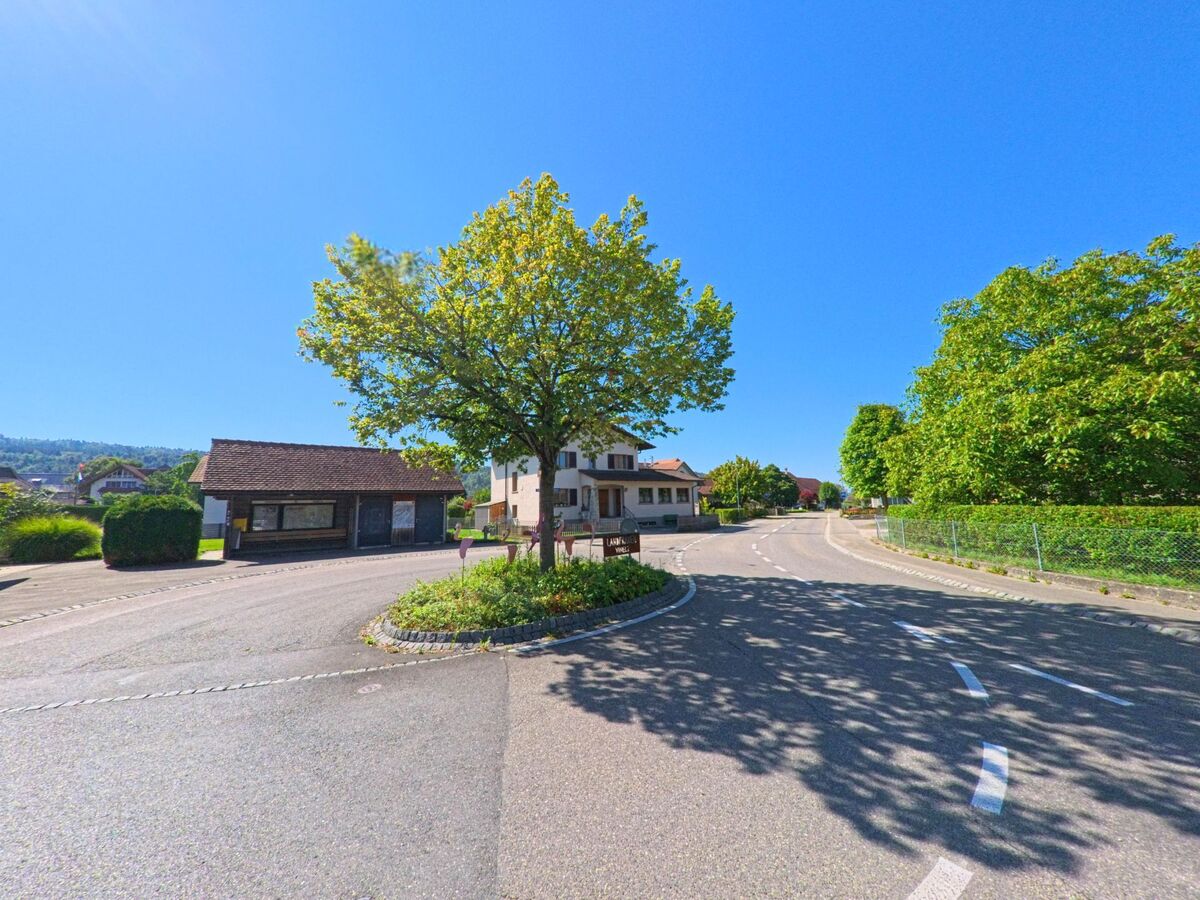 Eine Strasseninsel mit einem Baum trennt zwei Fahrspuren in Vinelz (3234, Kanton Bern), waehrend im Hintergrund Wohnhaeuser und ein kleines Gebaeude mit Schaufenstern zu sehen sind.