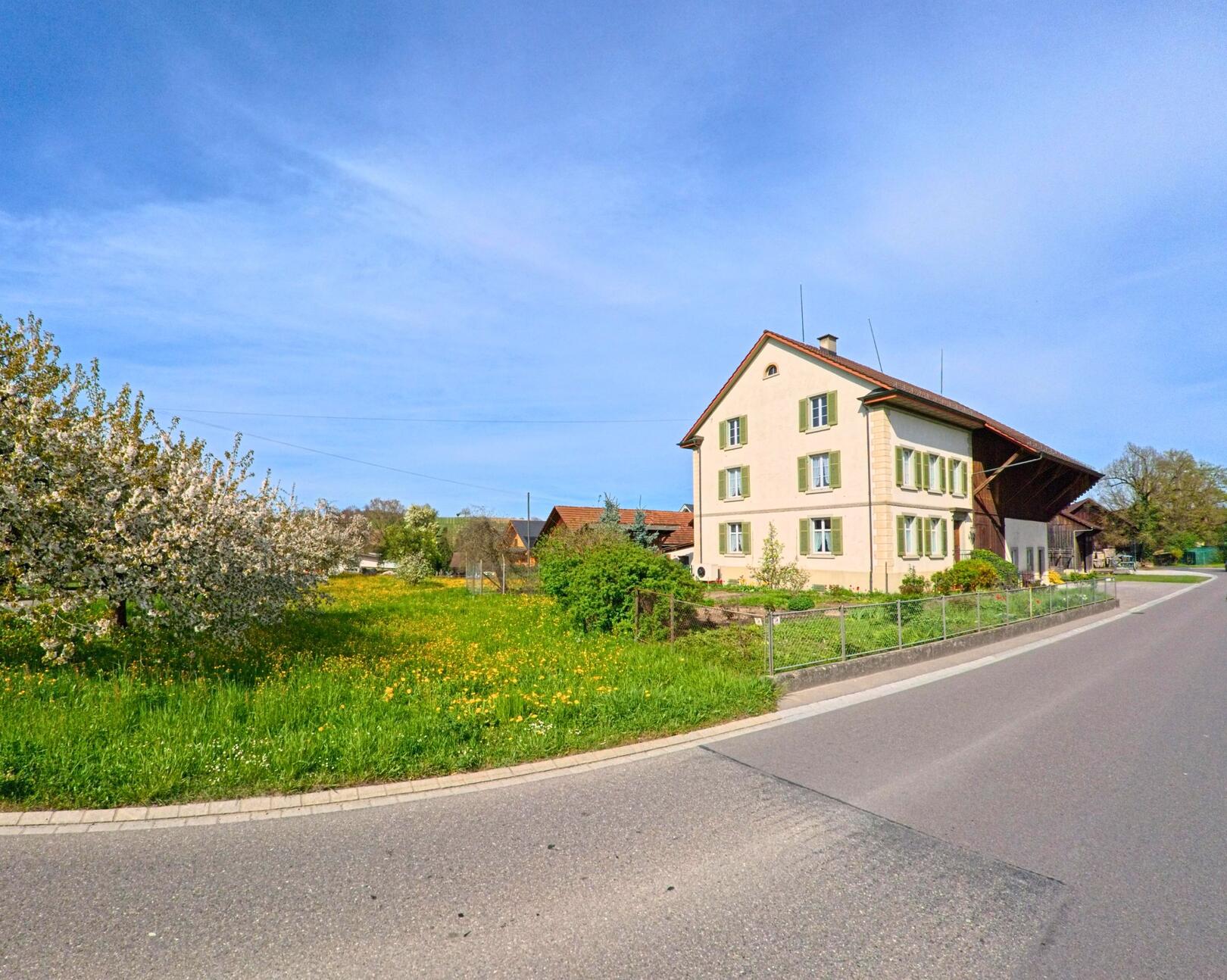 In Volken (8459, Kanton Zürich) steht ein helles Wohnhaus mit grünen Fensterläden am Rand einer blühenden Obstwiese.