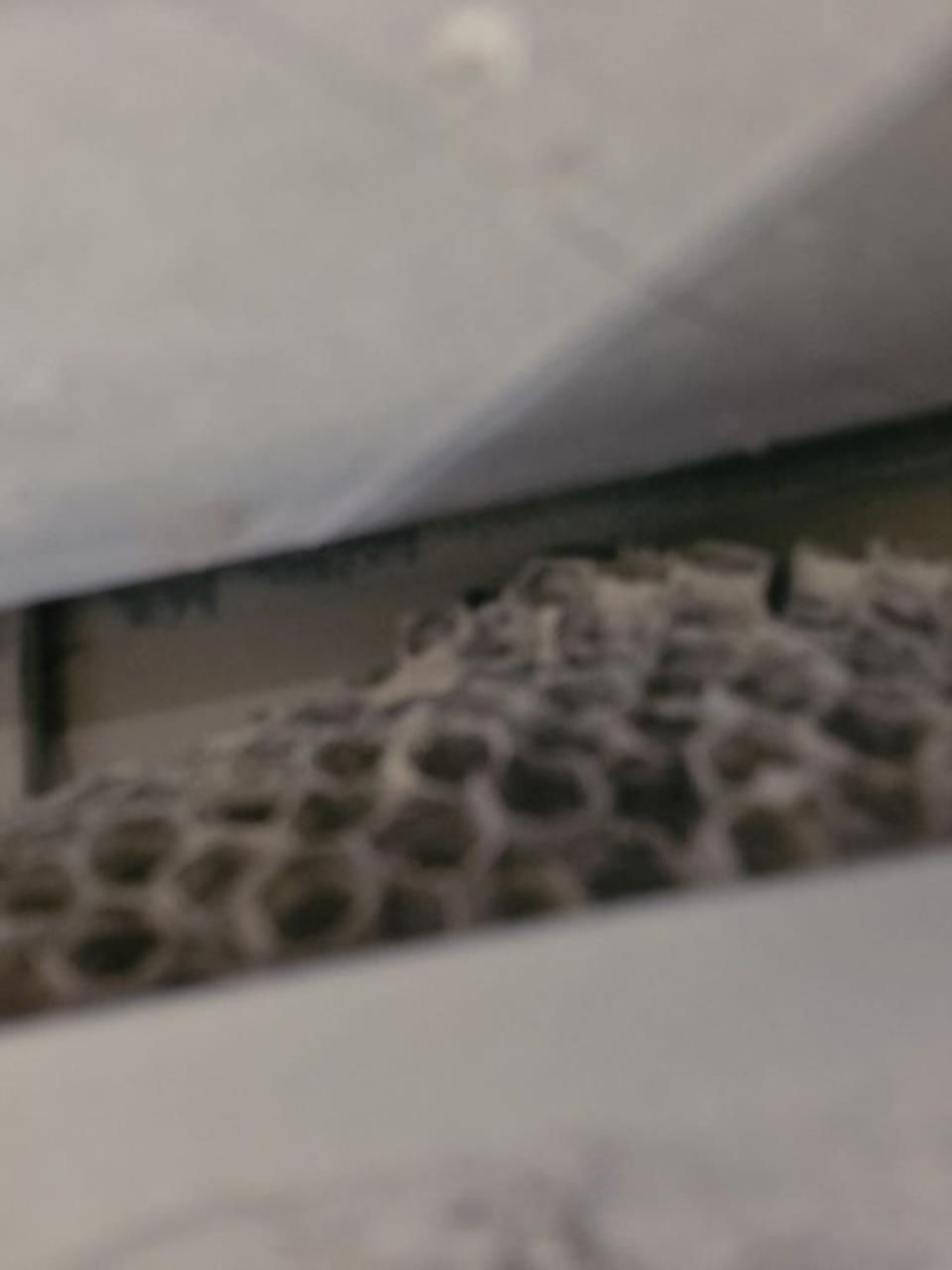 In einem engen Spalt ist ein Wabenmuster sichtbar, das auf einen Bienen- oder Wespenbau hinweist.