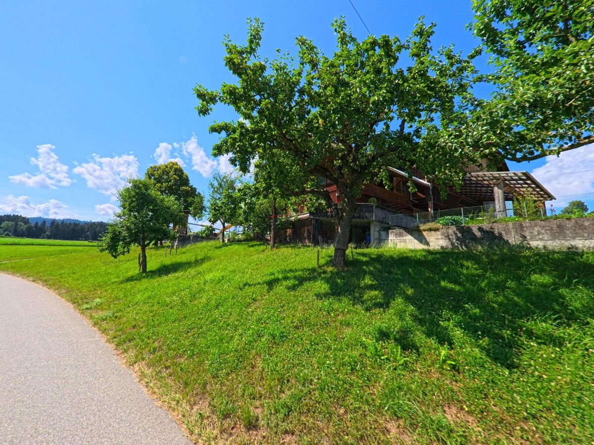 Unter schattigen Bäumen erstreckt sich eine leicht geneigte Wiese neben einer schmalen Strasse in Wachseldorn (3618, Kanton Bern) mit Blick auf ein erhöht gelegenes Wohnhaus.