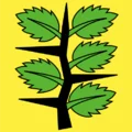 Wachseldorn in Schweiz