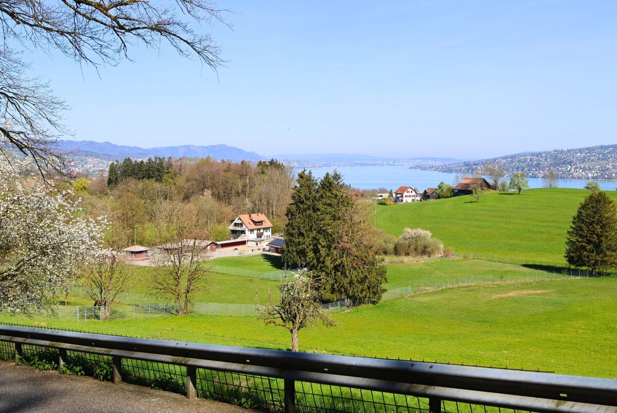 In Wädenswil (8820 im Kanton Zürich) öffnet sich der Blick von einer Anhöhe auf grüne Wiesen, verstreute Höfe und den glitzernden Zürichsee im Hintergrund.
