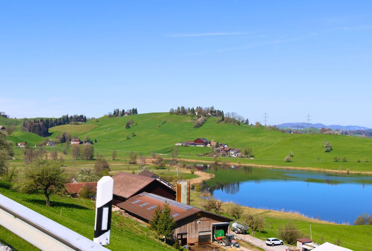 In der Gemeinde Wädenswil (8820, Kanton Zürich) liegt ein Bauernhof am Hang oberhalb eines kleinen Sees, umgeben von grüner Hügellandschaft und verstreuten Höfen.