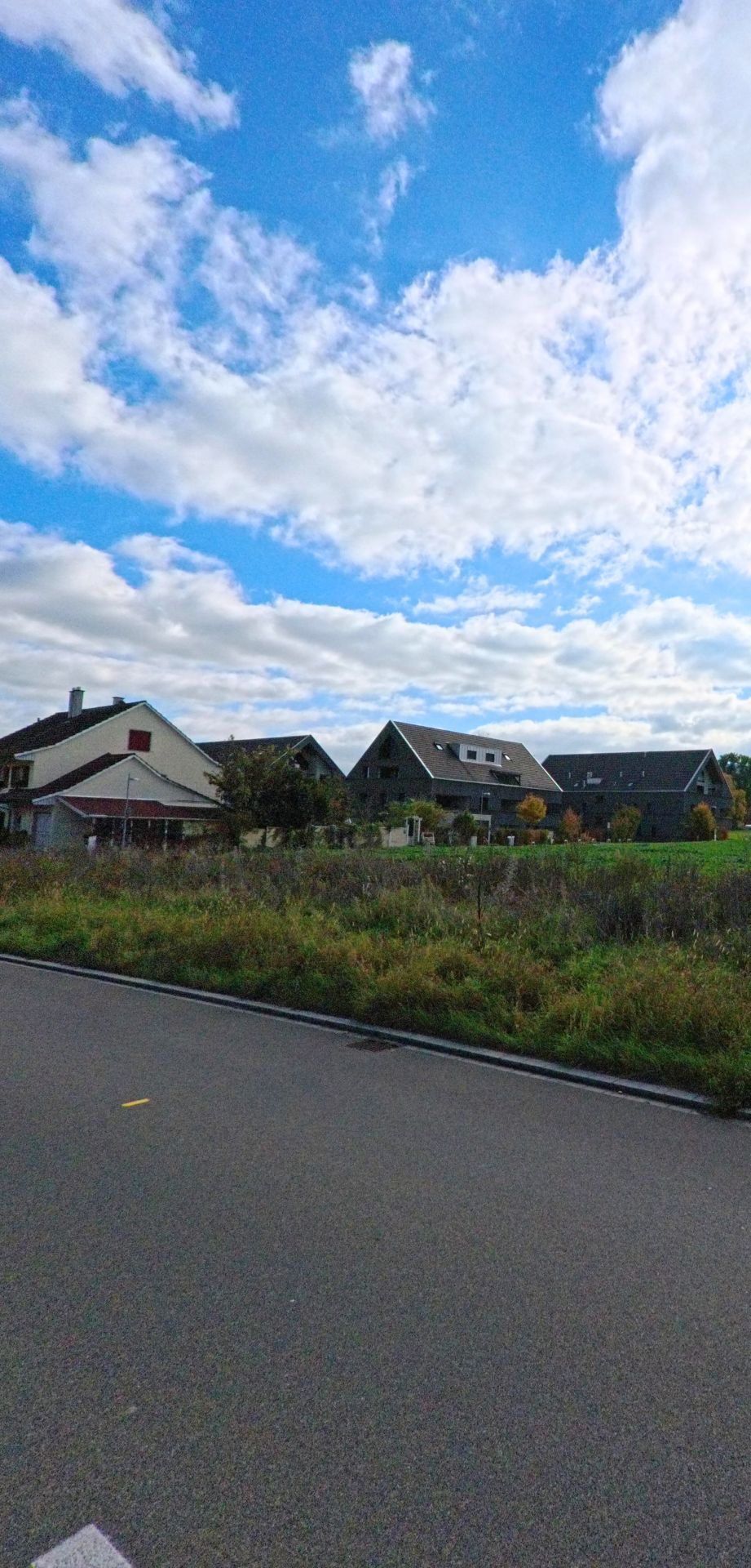 Am Rand einer Strasse zeigt sich in Wagenhausen (8259, Kanton Thurgau) eine offene Wiesenflaeche mit dahinterliegenden Wohnhaeusern unter weitlaeufigem Wolkenhimmel.