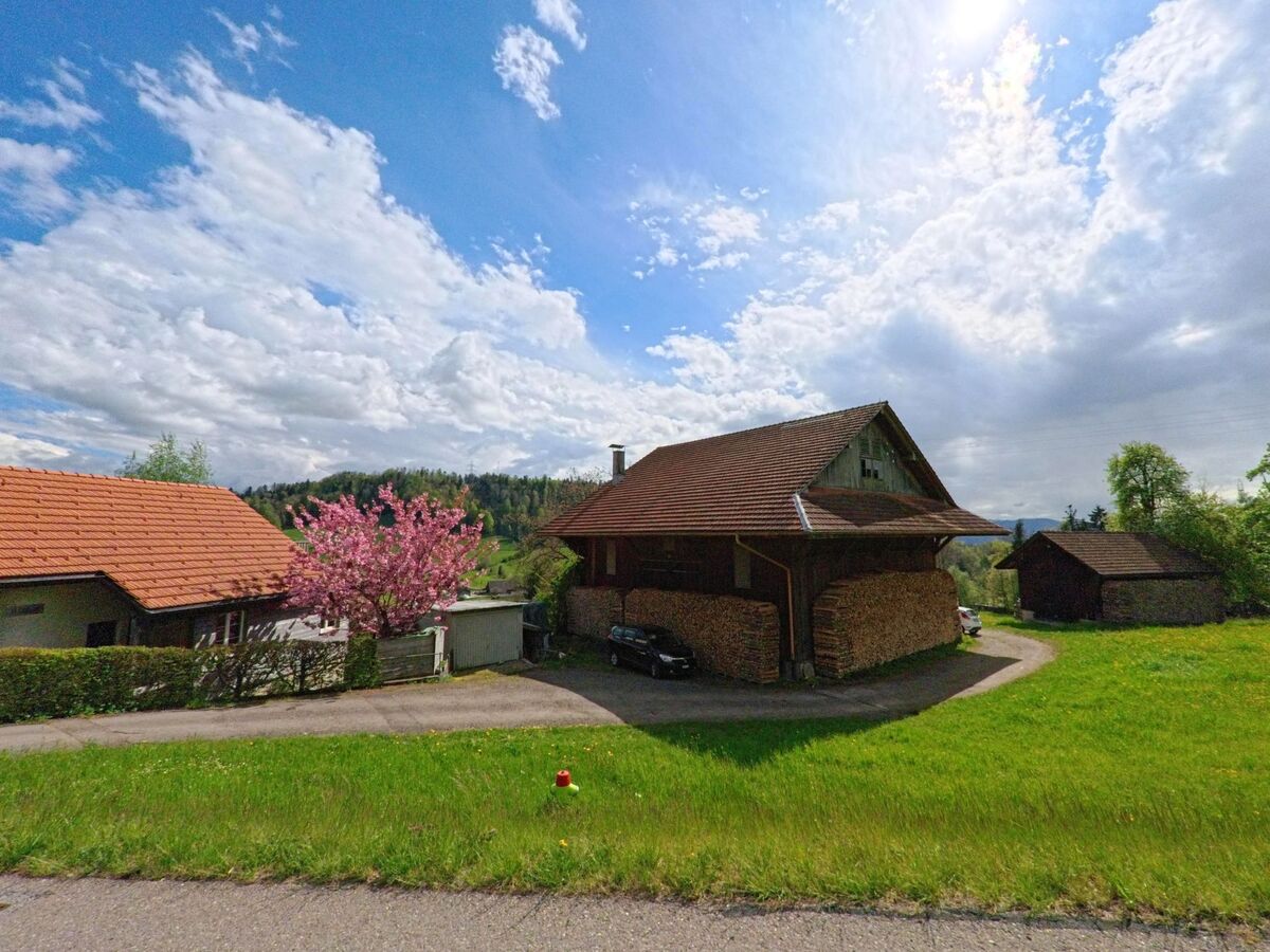  Am sonnigen Hang in Wald (8636, Kanton Zürich) steht ein traditioneller Holzschopf mit aufgeschichtetem Brennholz neben einer Auffahrt und blühendem Kirschbaum.