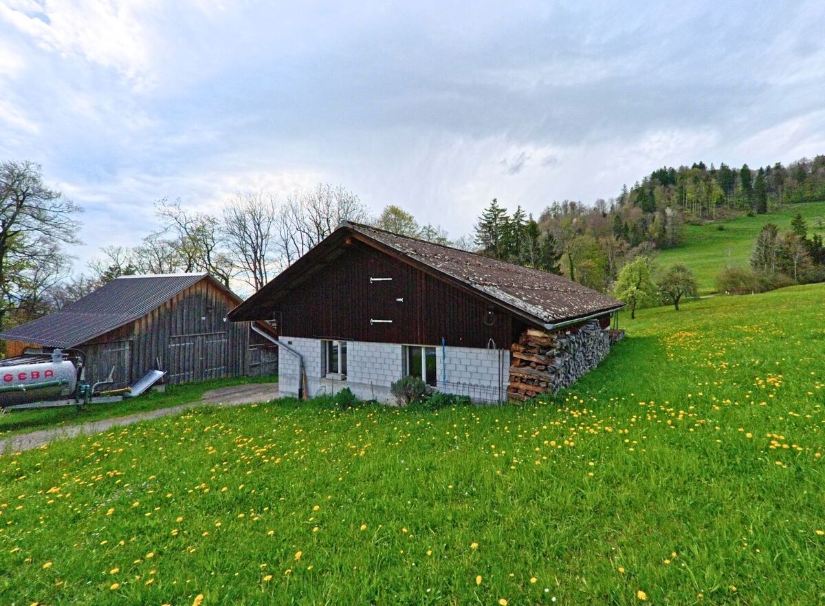 In Wald (8663, Kanton Zürich) steht eine kleine landwirtschaftliche Hütte mit Brennholzlager auf einer blühenden Wiese am Waldrand.