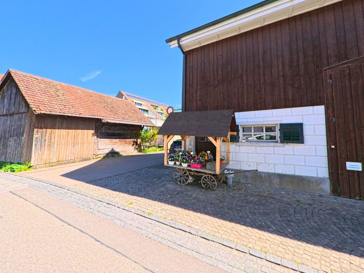 Vor einem Holzgebäude in Wangen-Brüttisellen (8602, Kanton Zürich) steht ein Blumenwagen mit bunten Topfpflanzen auf einem gepflasterten Vorplatz.