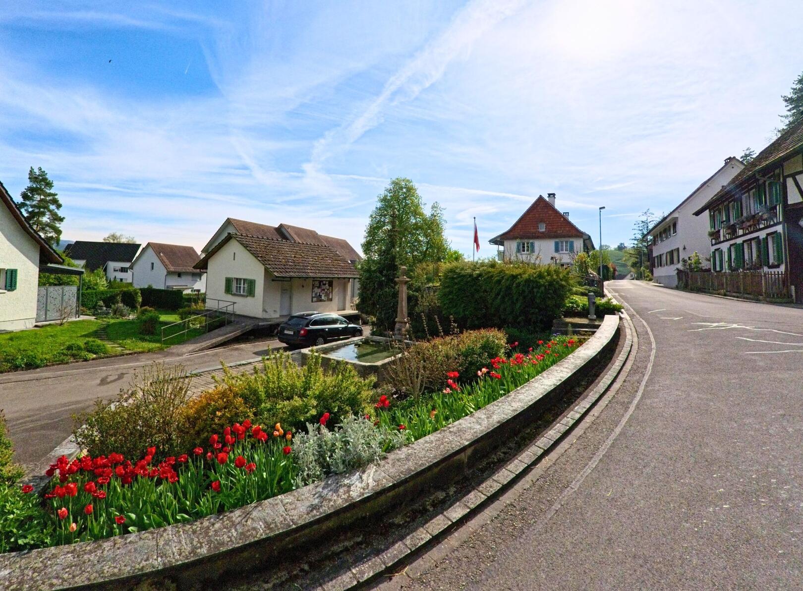In Wasterkingen (8195, Kanton Zürich) säumt ein bepflanztes Blumenbeet mit Tulpen den Rand einer Dorfstrasse zwischen Einfamilienhäusern und einem historischen Gebäude.