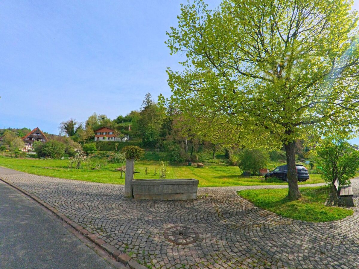 In Wasterkingen (8195, Kanton Zürich) steht ein Brunnen unter einem grossen Baum auf einem gepflasterten Platz, umgeben von Gärten und traditionellen Wohnhäusern.