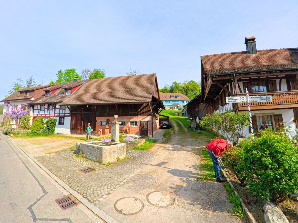 In Wasterkingen (8195, Kanton Zürich) säumen traditionelle Fachwerkhäuser eine ruhige Strasse, in deren Mitte ein kleiner Brunnen steht, umgeben von blühenden Vorgärten.