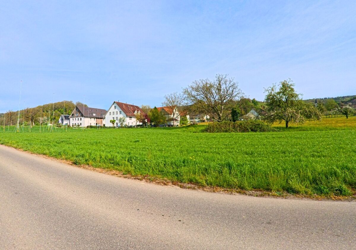 Von der Landstrasse aus bietet sich in Wasterkingen (8195, Kanton Zürich) ein weiter Blick auf eine locker bebaute Siedlung zwischen blühenden Obstbäumen und Wiesen.