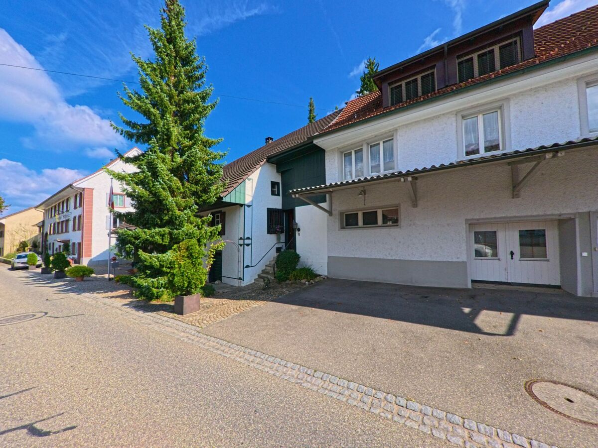 Entlang einer schmalen Strasse in Wegenstetten (4317, Kanton Aargau) reihen sich gepflegte Wohnhaeuser mit grossen Nadelbaeumen und kleinen Vorplaetzen.