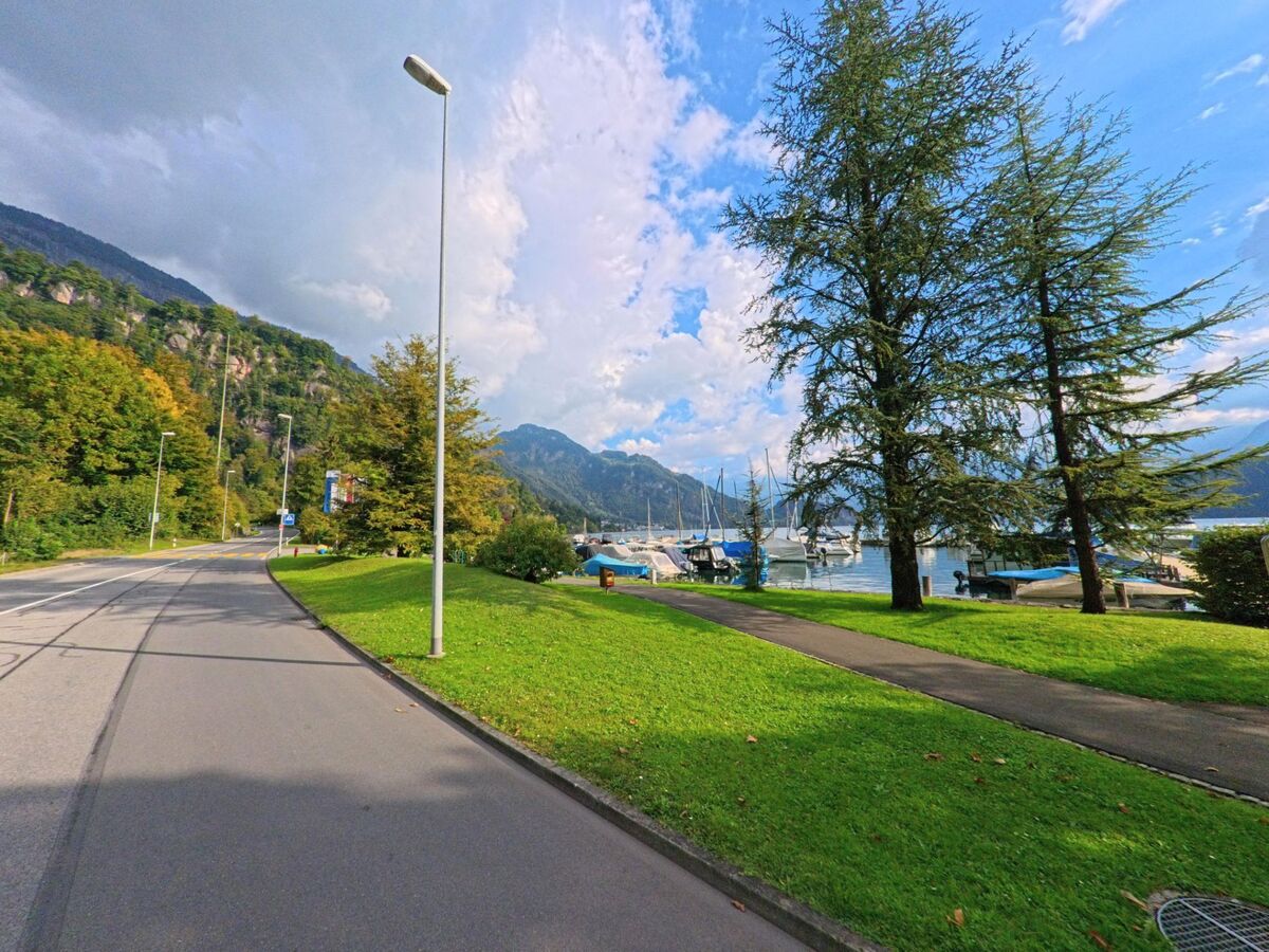 Entlang des Ufers in Weggis (6356, Kanton Luzern) fuehrt eine Strasse an einer Gruenflaeche mit hohen Baumen vorbei, waehrend im Hintergrund Boote im Hafen vor der Bergkulisse liegen.