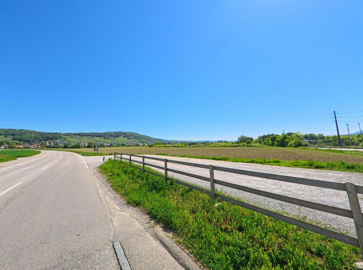 Am Ortsrand von Weiningen (8104, Kanton Zürich) verläuft eine Landstrasse durch offene Felder mit Blick auf bewaldete Hügel und einzelne Gehöfte.