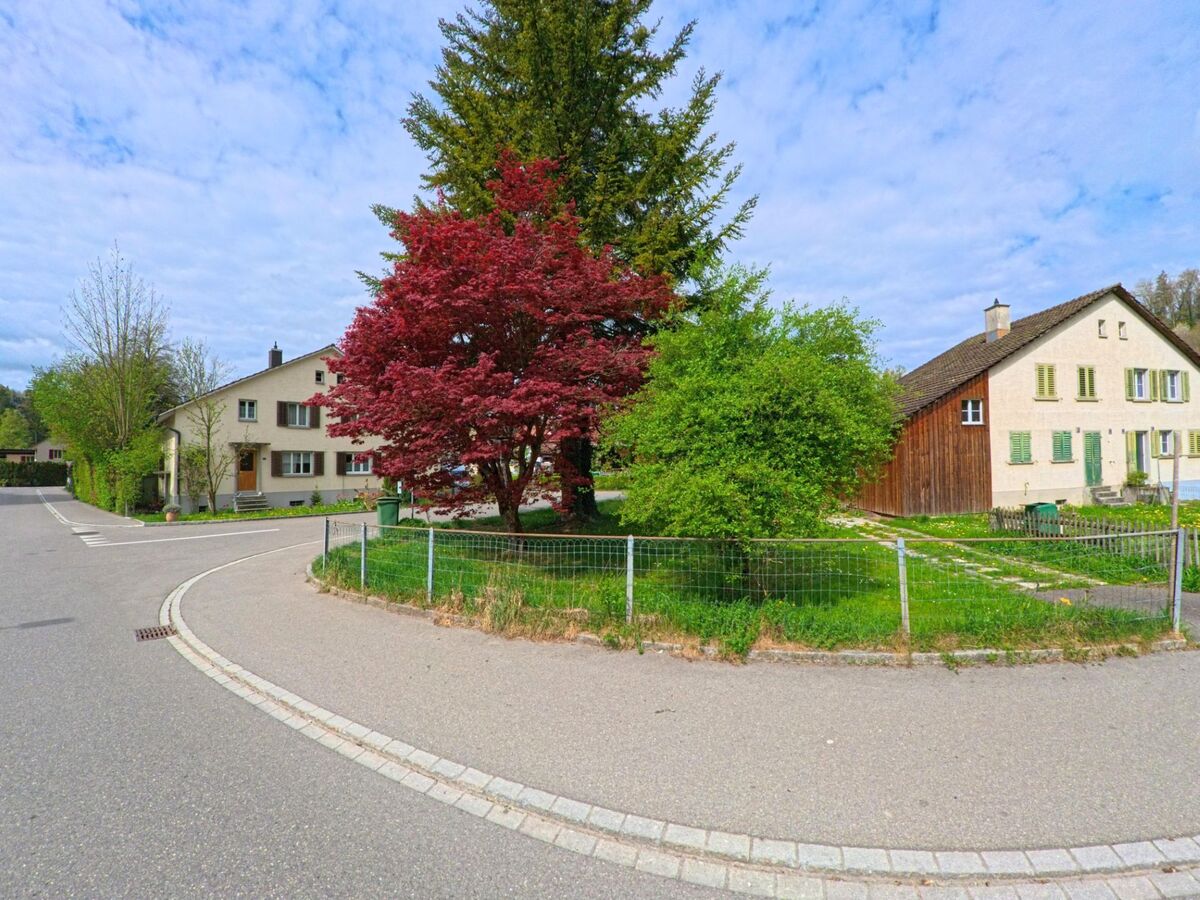 In Weisslingen (8486, Kanton Zürich) biegt die Strasse an einem markanten, rotblühenden Baum und traditionellen Häusern entlang, die von grünen Wiesen und Bäumen umgeben sind.