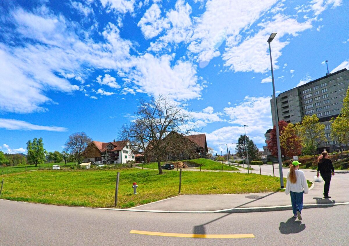 In der Gemeinde Wetzikon (8620, Kanton Zürich) verläuft eine Strasse zwischen offener Wiese und Wohnhäusern, während zwei Personen den Gehweg entlanggehen.