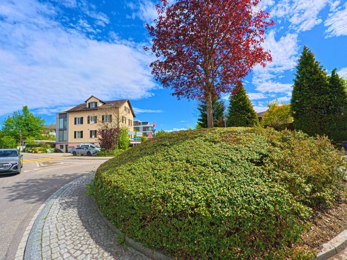 In Wetzikon (8620, Kanton Zürich) erhebt sich auf einer begrünten Verkehrsinsel ein Baum mit rötlichem Laub vor einem Wohn- und Geschäftshaus bei blauem Himmel.