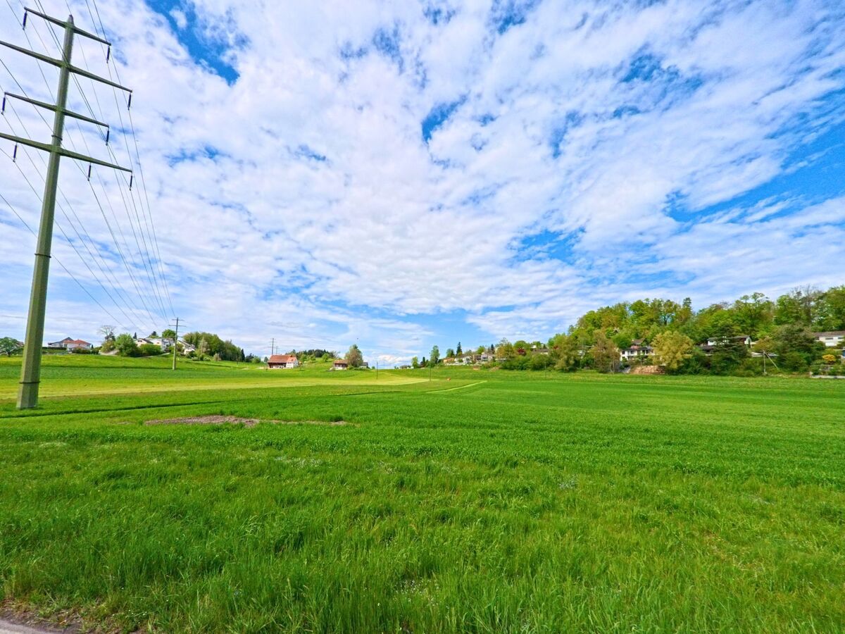 In der Gemeinde Wetzikon (8624, Kanton Zürich) durchziehen Hochspannungsleitungen eine weitläufige, grüne Ackerfläche mit angrenzender Wohnsiedlung am Waldrand.