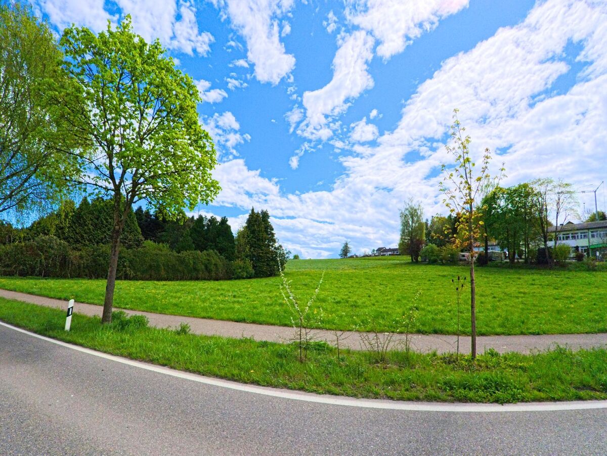 In der Gemeinde Wetzikon (8624, Kanton Zürich) erstreckt sich eine weitläufige Grünfläche mit jungen Bäumen entlang eines parallel zur Strasse verlaufenden Fusswegs.