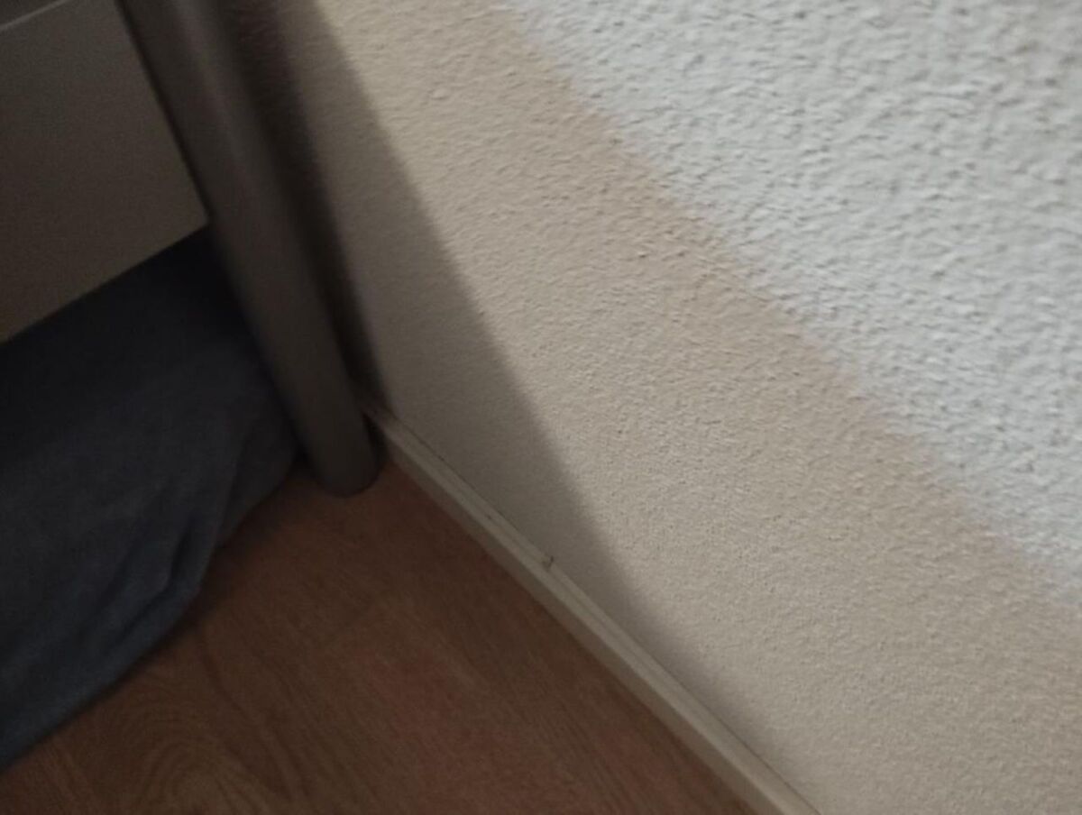 In einer Wohnung in Wetzikon (8620, Kanton Zürich) zeigt sich die Ecke zwischen Wand, Fussbodenleiste und Bettgestell mit Spuren möglicher Aktivität von Bettwanzen oder anderem Ungeziefer.