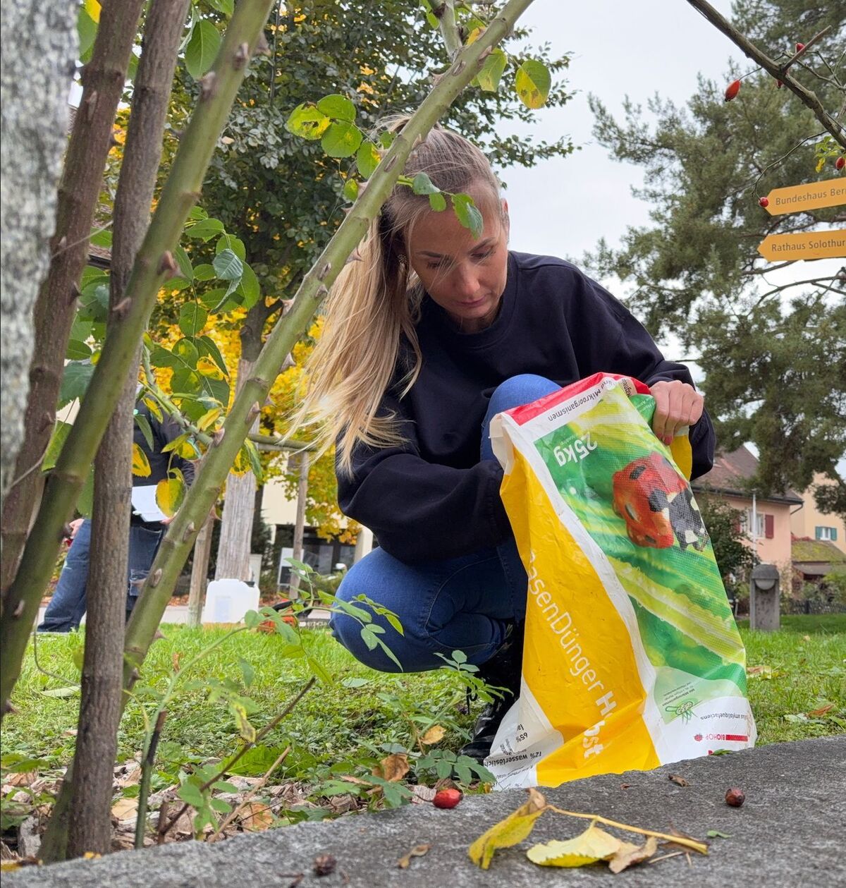 Gartenpflege Winterthur (ZH): Bepflanzung und Pflege von Grünflächen