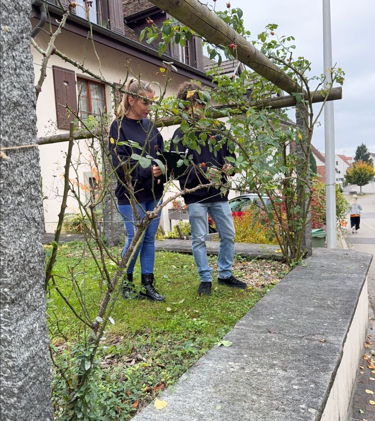 Gartenbauer Winterthur (ZH): Gartenumgestaltung und Beratung vor Ort