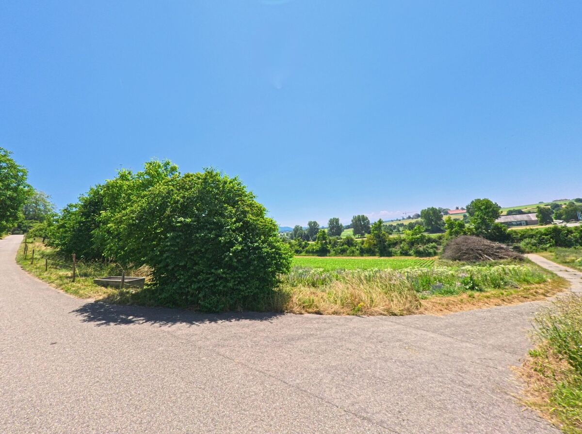 Ein ländlicher Weg in Wiggiswil (3053, Kanton Bern) führt an Bäumen und Feldern entlang und teilt sich in zwei Richtungen.