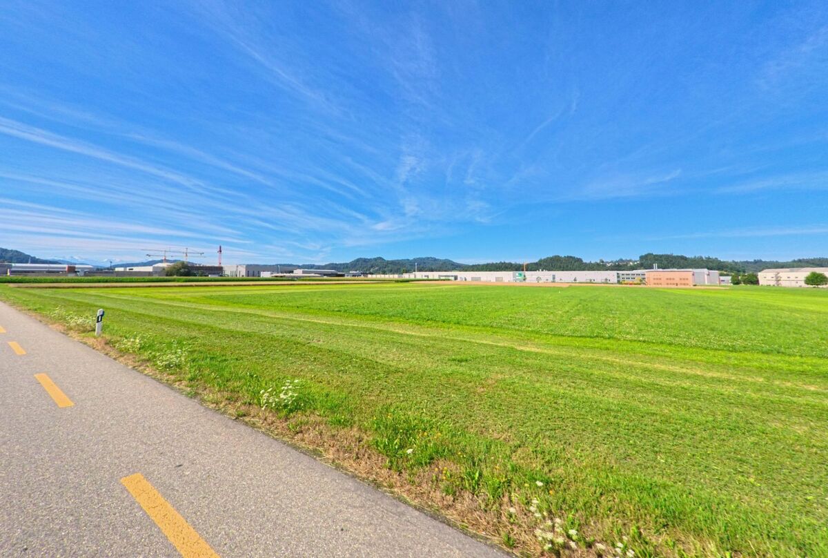 In Wikon (4806, Kanton Luzern) grenzen weite gruene Wiesen an ein Industriegebiet mit Hallen und Baukraenen am Horizont.