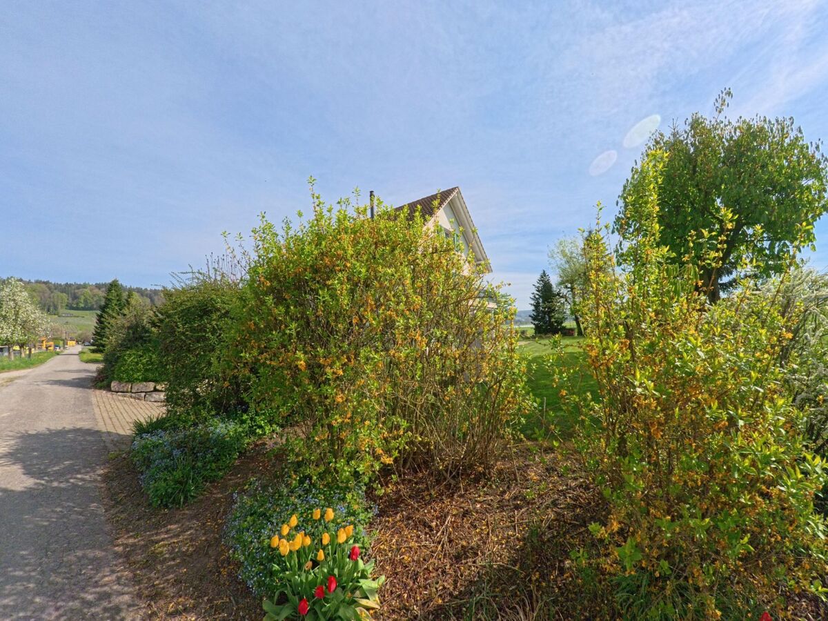  In Wil (8196, Kanton Zürich) säumen blühende Sträucher und Tulpen den Rand eines Weges mit Blick auf ein Einfamilienhaus und die hügelige Landschaft.