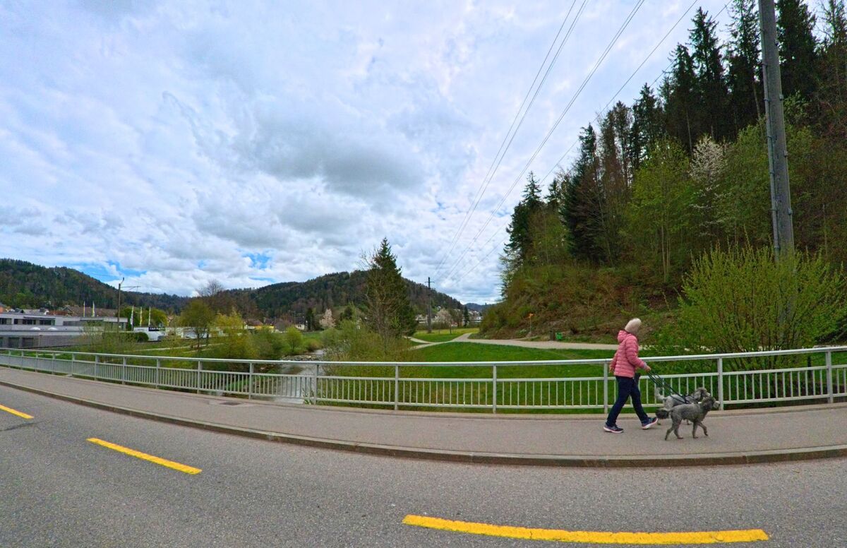 In Wildberg (8487, Kanton Zürich) überquert eine Frau mit zwei Hunden eine Brücke, während im Hintergrund ein Weg entlang des bewaldeten Hangs verläuft.