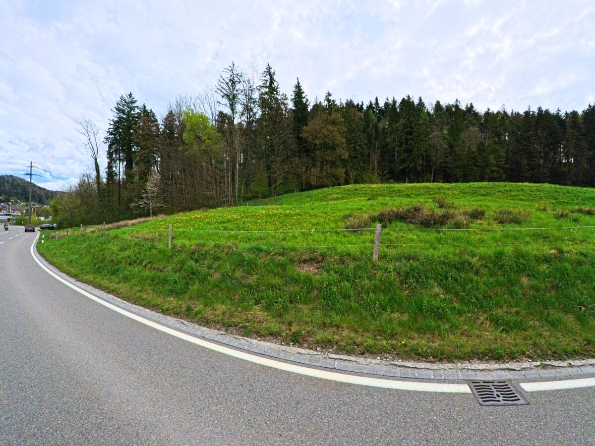 Eine sanft geschwungene Strasse führt in Wildberg (8487, Kanton Zürich) an einer leicht ansteigenden Wiese entlang, die von einem dichten Wald begrenzt wird.