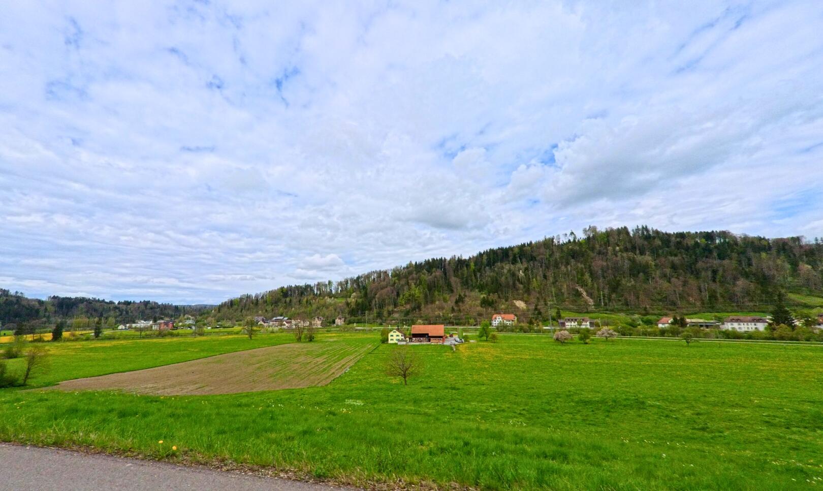 In der Gemeinde Wildberg (8487, Kanton Zürich) breitet sich eine grüne Wiesenlandschaft mit einzelnen Bauernhäusern am Fuss eines bewaldeten Hügels aus.