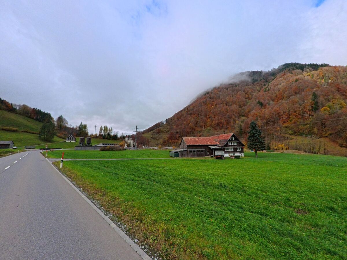 Entlang einer Landstrasse oeffnet sich eine weite Gruenflaeche mit Bauernhof vor herbstlich gefaerbten Haengen bei Wildhaus-Alt_St._Johann (9656, Kanton St. Gallen).