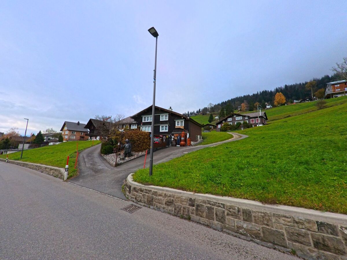 An einer ansteigenden Quartierzufahrt mit Gruenflaechen und verstreuten Wohnhaeusern zeigt sich die Hanglage von Wildhaus-Alt_St._Johann (9656, Kanton St. Gallen).