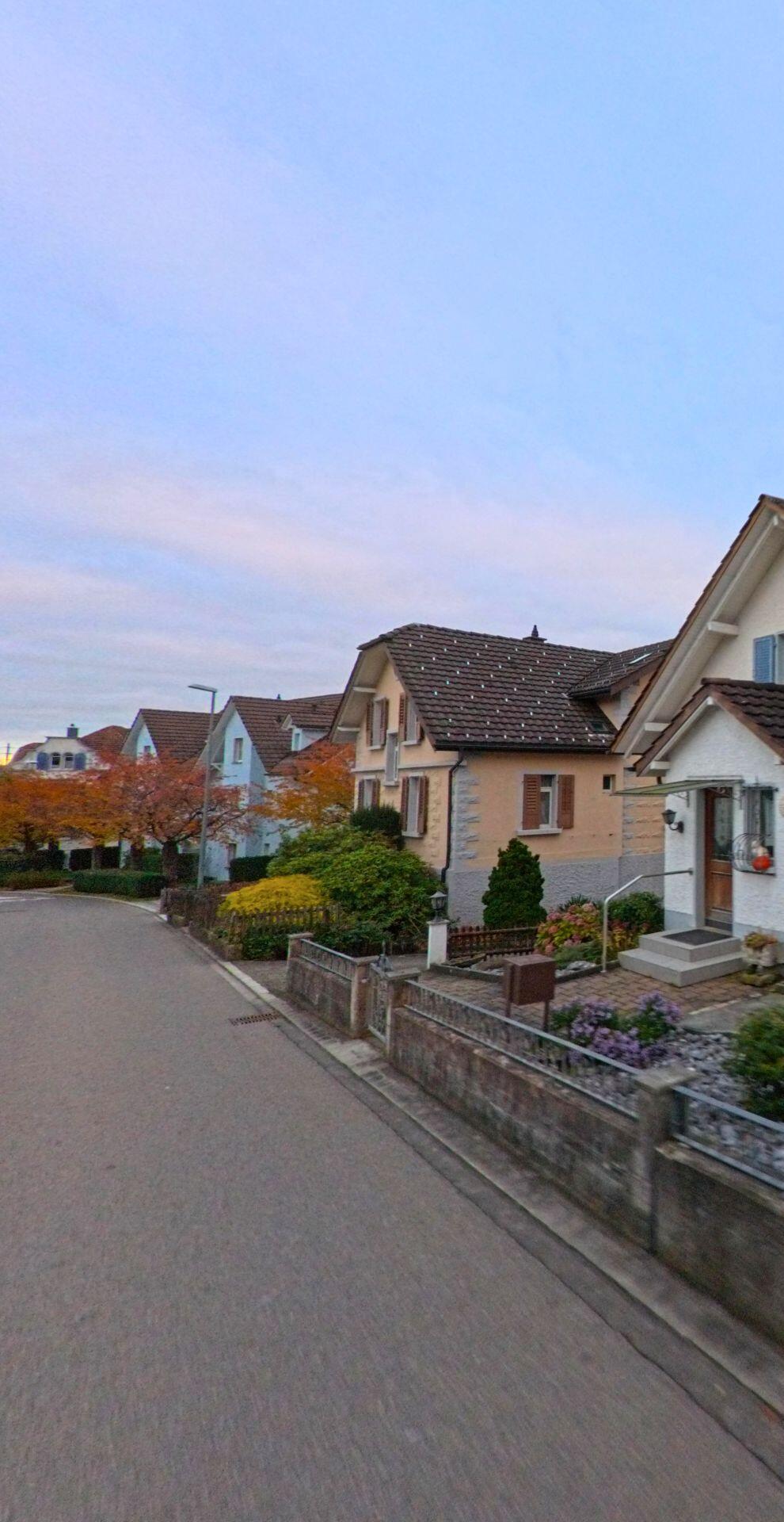 Eine schmale Quartierstrasse mit Einfamilienhäusern und gepflegten Vorgartenanlagen zeigt das Wohnumfeld von Wilen (9535, Kanton Thurgau) in herbstlicher Stimmung.