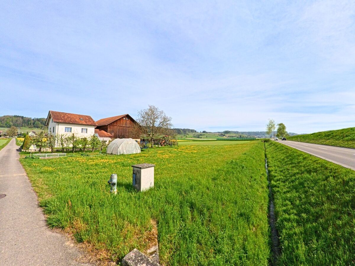 In Wil (8196, Kanton Zürich) liegt ein Bauernhaus mit Gemüsegarten zwischen einer Nebenstrasse und einer Landstrasse, umgeben von blühenden Wiesen.