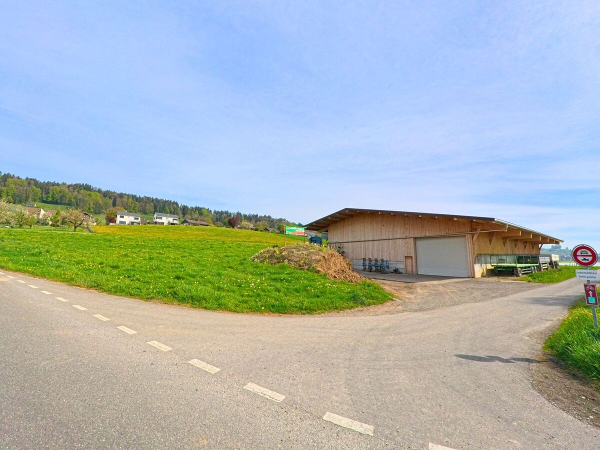 In Wil (8196, Kanton Zürich) steht eine grosse Holzhalle am Rande eines geteerten Weges mit Blick auf Obstwiesen und moderne Einfamilienhäuser am Waldrand.