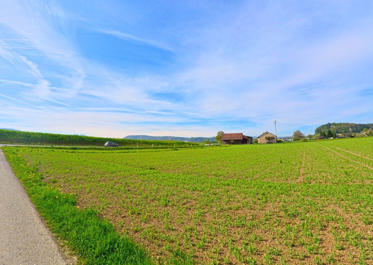 In Wil (8196, Kanton Zürich) breitet sich ein frisch bepflanztes Feld unter einem weiten Himmel aus, mit Blick auf einzelne Bauernhäuser und eine vorbeiführende Strasse.