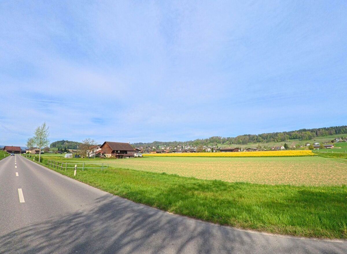 In Wil (8196, Kanton Zürich) führt eine Landstrasse an weitläufigen Feldern und einem Bauernhof vorbei, mit Blick auf das Dorf und die umliegenden Hügel.