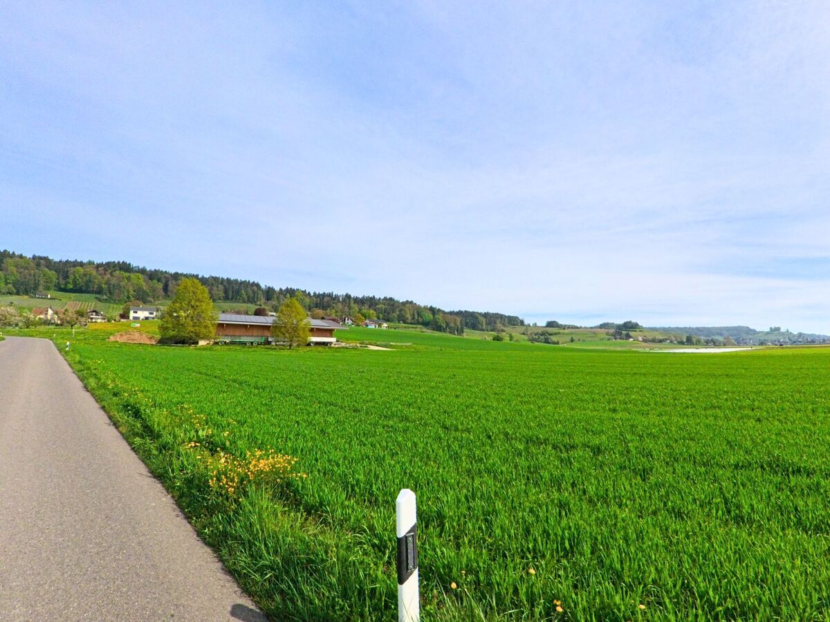 In Wil (8196, Kanton Zürich) führt eine schmale Strasse durch sattgrüne Felder mit Blick auf einen Bauernhof und angrenzende Waldgebiete.