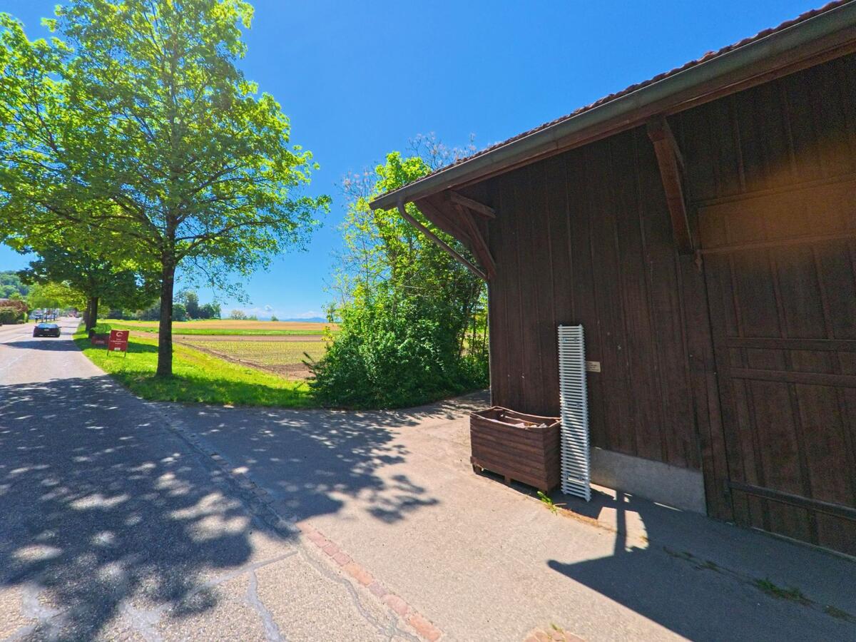 Am Ortsrand von Winkel, PLZ 8185 im Kanton Zürich, verläuft eine schattige Strasse entlang eines Feldes mit Blick auf die Alpen und anliegende Wirtschaftsgebäude.