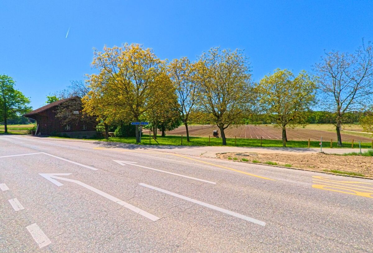 In Winkel, PLZ 8185 im Kanton Zürich, kreuzt eine breite Strasse ein landwirtschaftlich genutztes Gebiet mit frisch bestelltem Acker und einer Baumreihe am Strassenrand.