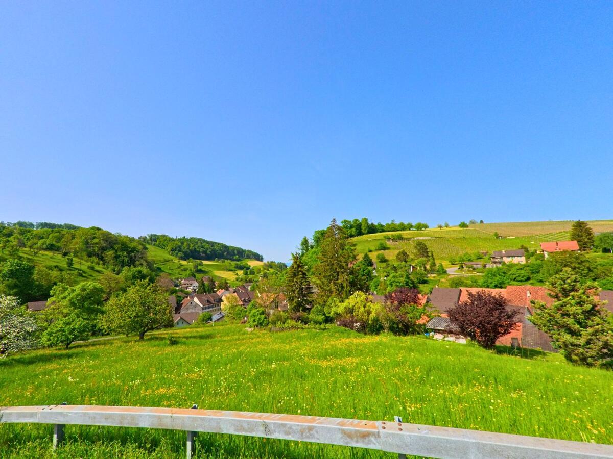 In Wintersingen (4451, Kanton Baselland) oeffnet sich der Blick von einer Anhöhe auf ein Tal mit Streuobstwiesen, Hauserdaechern und sonnenbeschienenen Rebhaengen.