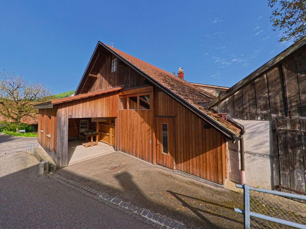 In Wisen (4634, Kanton Solothurn) steht ein rustikales Holzgebäude mit rotem Ziegeldach und offener Werkstatt direkt an der Strasse.