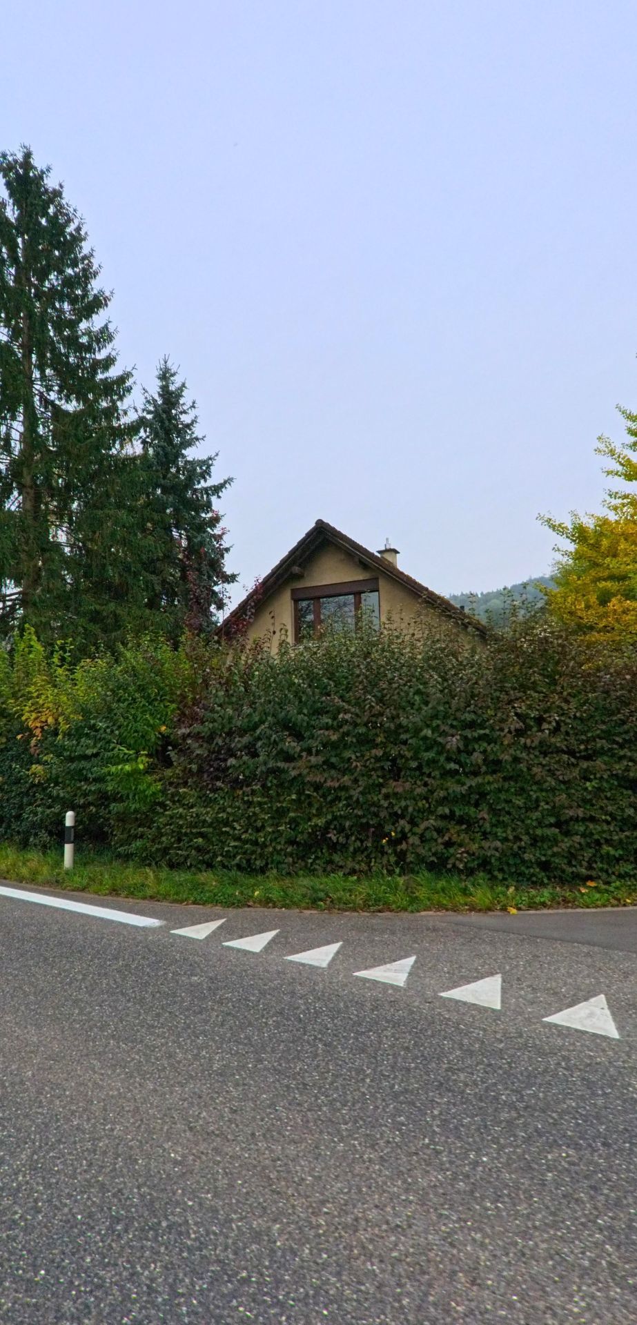Hinter dichter Hecke liegt in Wohlenschwil (5512, Kanton Aargau) ein kleines Haus, waehrend Markierungen die schmale Strasse am Ortsrand betonen.